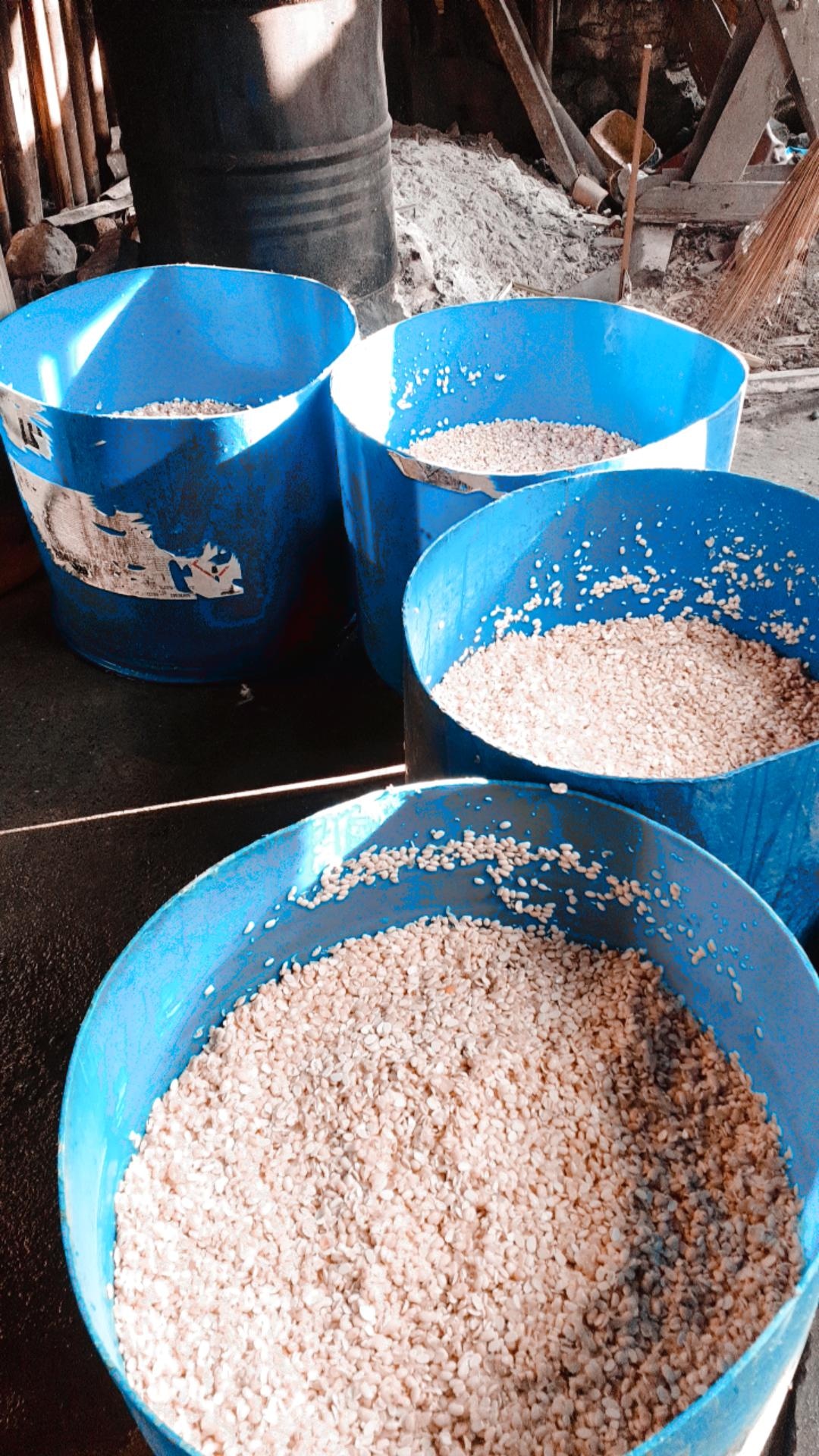 Tempe Kedelai Numani